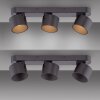 Paul Neuhaus lights Cup ceiling light LED black, 3-light sources