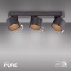 Paul Neuhaus lights Cup ceiling light LED black, 3-light sources