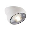 Paul Neuhaus lights Move ceiling light LED white, 1-light source
