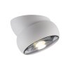 Paul Neuhaus lights Move ceiling light LED white, 1-light source
