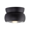 Paul Neuhaus lights Move ceiling light LED black, 1-light source