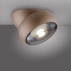 Paul Neuhaus lights Move ceiling light LED bronze, 1-light source
