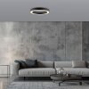 Paul Neuhaus lights Round ceiling light LED grey, 1-light source, Remote control
