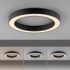 Paul Neuhaus lights Round ceiling light LED grey, 1-light source, Remote control
