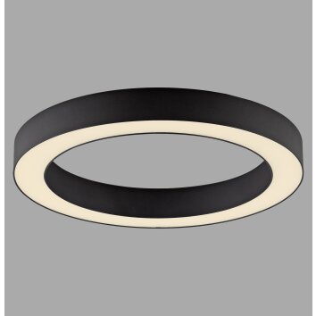 Paul Neuhaus lights Round ceiling light LED grey, 1-light source, Remote control