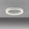 Paul Neuhaus lights Round ceiling light LED white, 1-light source, Remote control