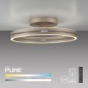 Paul Neuhaus lights Loop ceiling light LED bronze, 2-light sources, Remote control