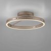 Paul Neuhaus lights Loop ceiling light LED bronze, 2-light sources, Remote control