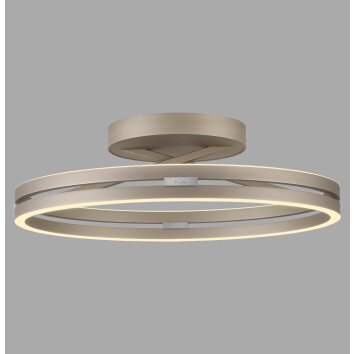 Paul Neuhaus lights Loop ceiling light LED bronze, 2-light sources, Remote control