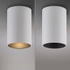 Paul Neuhaus lights Point ceiling light LED white, 1-light source