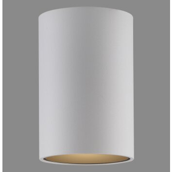 Paul Neuhaus lights Point ceiling light LED white, 1-light source