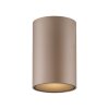 Paul Neuhaus lights Point ceiling light LED bronze, 1-light source