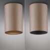 Paul Neuhaus lights Point ceiling light LED bronze, 1-light source