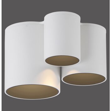 Paul Neuhaus lights Point ceiling light LED white, 1-light source