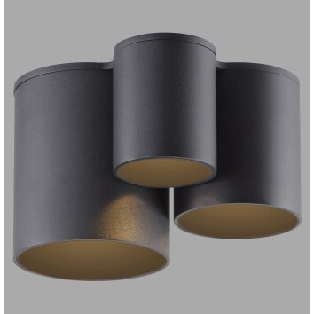 Paul Neuhaus lights Point ceiling light LED black, 1-light source