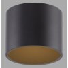 Paul Neuhaus lights Point ceiling light LED black, 1-light source