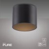 Paul Neuhaus lights Point ceiling light LED black, 1-light source