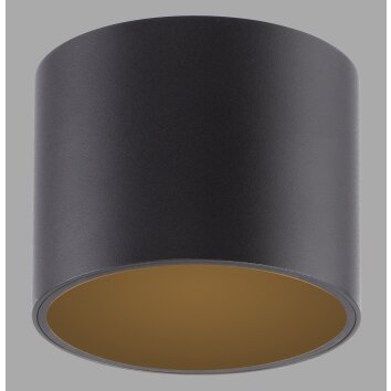Paul Neuhaus lights Point ceiling light LED black, 1-light source