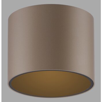 Paul Neuhaus lights Point ceiling light LED bronze, 1-light source
