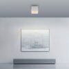 Paul Neuhaus lights Manhattan ceiling light LED white, 1-light source, Remote control