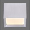 Paul Neuhaus lights Manhattan ceiling light LED stone appearance, 1-light source, Remote control