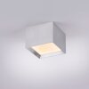 Paul Neuhaus lights Manhattan ceiling light LED stone appearance, 1-light source, Remote control