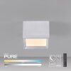 Paul Neuhaus lights Manhattan ceiling light LED stone appearance, 1-light source, Remote control