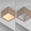 Paul Neuhaus lights Manhattan ceiling light LED bronze, 1-light source, Remote control