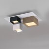 Paul Neuhaus lights Manhattan ceiling light LED grey, 1-light source, Remote control