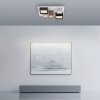 Paul Neuhaus lights Manhattan ceiling light LED grey, 1-light source, Remote control