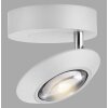 Paul Neuhaus lights Oculis ceiling light LED white, 1-light source