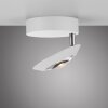 Paul Neuhaus lights Oculis ceiling light LED white, 1-light source