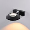 Paul Neuhaus lights Oculis wall light LED black, 2-light sources