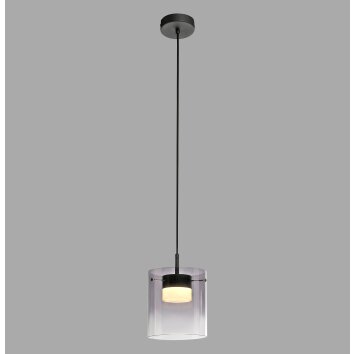 Leuchten Direkt lights ELIO pendant light LED black, 1-light source
