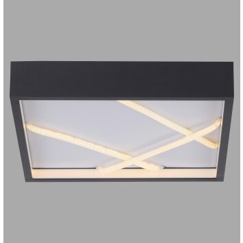 Leuchten Direkt lights MIKADO ceiling light LED black, 1-light source