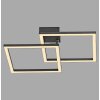 Leuchten Direkt lights IVEN ceiling light LED black, 1-light source