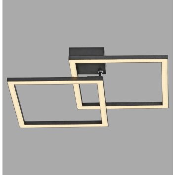 Leuchten Direkt lights IVEN ceiling light LED black, 1-light source