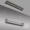 Leuchten Direkt lights SONTURA pendant light LED black, 2-light sources