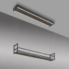 Leuchten Direkt lights SONTURA pendant light LED black, 2-light sources