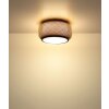 Globo lighting Bambora ceiling light LED black, 1-light source