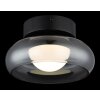 Globo lighting Carlene ceiling light LED black, 1-light source