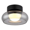 Globo lighting Carlene ceiling light LED black, 1-light source
