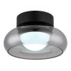 Globo lighting Carlene ceiling light LED black, 1-light source