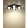 Globo lighting Carlene ceiling light LED black, 1-light source