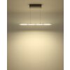Globo lighting Novak hanging light LED matt nickel, 1-light source