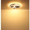 Globo lighting Monty ceiling light LED sand-coloured, white, 1-light source