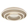 Globo lighting Lawanda ceiling light LED sand-coloured, 1-light source