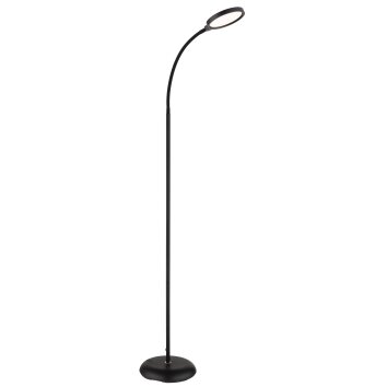 Globo lighting Kalderon floor lamp LED black, 1-light source