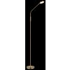 Globo lighting Silvio floor lamp LED brass, 1-light source