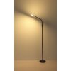Globo lighting Silvio floor lamp LED black, 1-light source